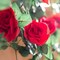 2 Pack (16FT) Artificial Rose Vine Flowers Plants Fake Flower Vine for Wedding Home Party Garden Craft Art Decor Red